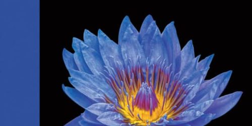 Campbell Biology (12th Edition) – eBook PDF