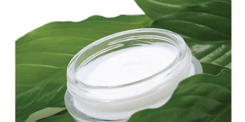 Cosmeceuticals and Active Cosmetics (3rd Edition) – eBook PDF