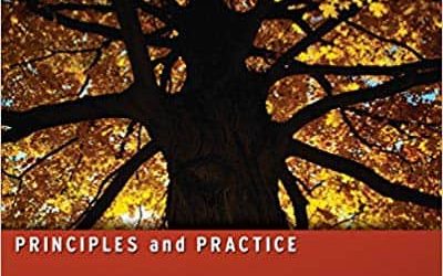 Derivatives – Principles and Practice (2nd Edition) – eBook PDF