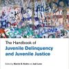 The Handbook of Juvenile Delinquency and Juvenile Justice – eBook PDF