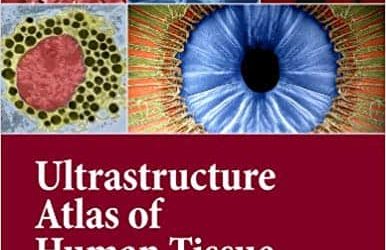 Ultrastructure Atlas of Human Tissues – eBook PDF