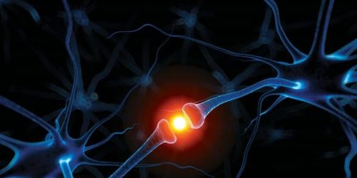 Physics (11th Edition) By David Young, Shane Stadler – eBook PDF