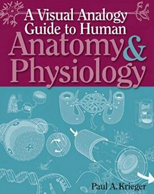 A Visual Analogy Guide to Human Anatomy & Physiology Paul A. Krieger, 1st Edition, ISBN-13: 978-0895828019